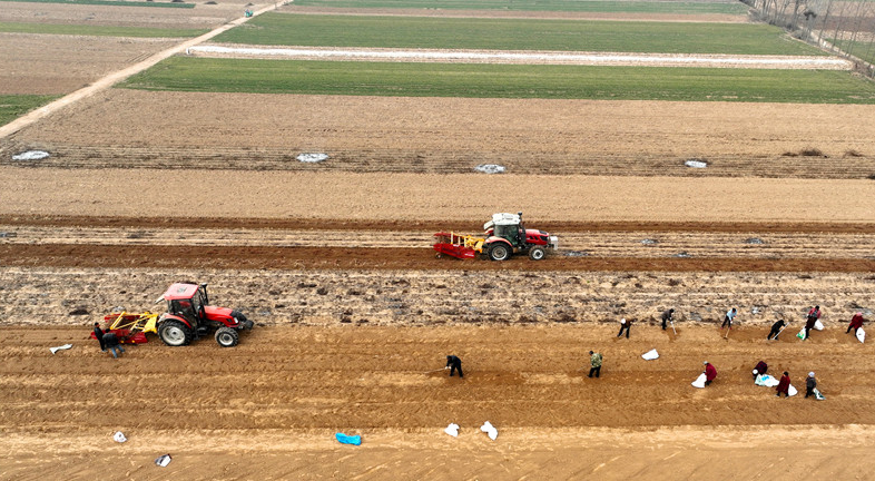 1742271153.png image.png